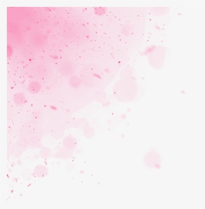 Bump Hunters - Cherry Blossom