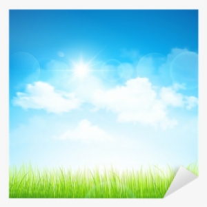 Grass