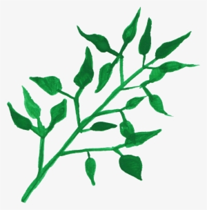 Free Download - Download