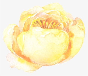 Transparent Ornamental For Ice And Yellow Stamens - Oil Painting