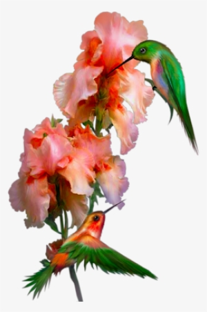 Bd-58 - Bouquet