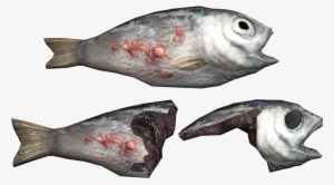 Fo4 Fish - Portable Network Graphics