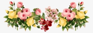Flower Border Png 7 - Transparent Background Flowers Png