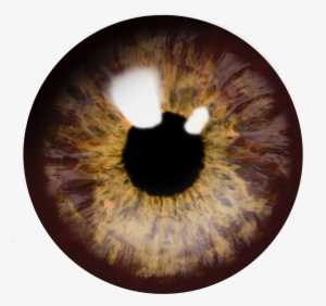 Pupils Eye Png