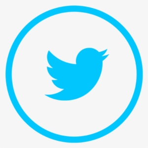 Twitter Logo Icon, Social, Media, Icon Png And Vector - Twitter Logo Png Vector