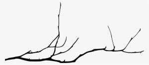 Free Download - Bare Tree Branch Png