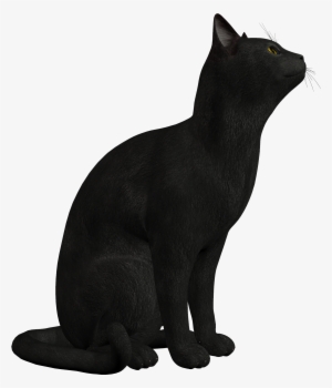 Black Cat Png Clipart - Black Cat Png