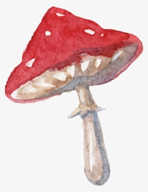 Drawn Mushroom Person - Alice In Wonderland Mushroom Drawing
