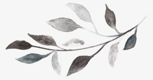 Svg Freeuse Branch Transparent Watercolor - Salam Jumaat Black And White