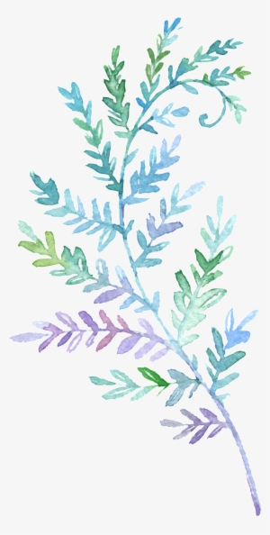 This Backgrounds Is Cartoon Fresh Watercolor Branch - ใบไม้ สี ฟ้า Png
