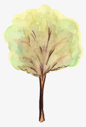 Free Download - Watercolor Tree Png