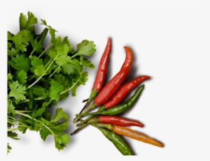 Food Png High-quality Image - Food Png From Top