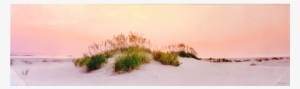 Grass Dune Panoramic Print - Printing
