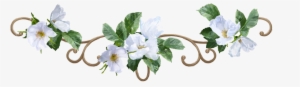 Flower Border Png - White Flower Border Png