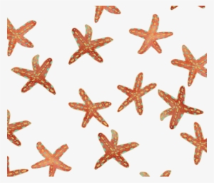 Aqua, Coral And Gold Starfish Hand Painted Watercolor - Watercolor Painting