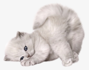 Tale Of Tom Kitten [book]