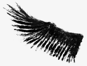 Half Wings Png Photos - Wings Photo In Png