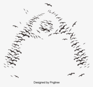 Hand Painted Black And White Birds Group Design Vector - White