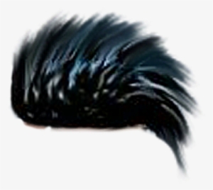 Png Hair Preview - Hooded Skunk
