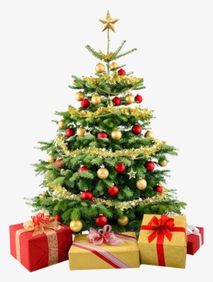 Christmas Tree Png - Christmas Tree No Background