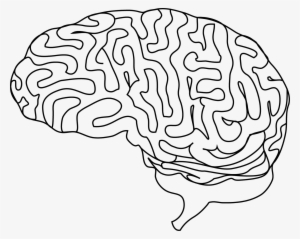 Learning To Use Lines In Ai - Drawing