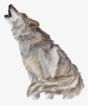Download - Wolf Png