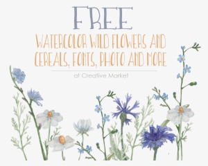 Vector Freeuse Stock Free Watercolor Ey To Zee - Wildflower