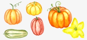 Watercolor Pumpkin Clipart Example Image - Watercolor Painting