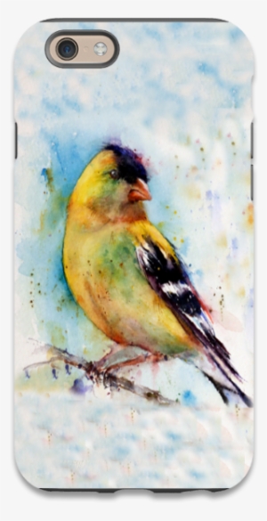 Watercolor Bird Phone Case,iphone 6,iphone 6plus,iphone7,iphone