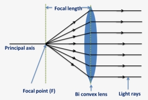 Biconvex Lens-behaviour Of Light Rays From Focal Point - Biconvex ...