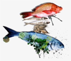 Welcome To - Catfish