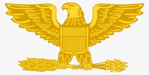 Colonel Gold Eagle - Colonel Insignia Air Force