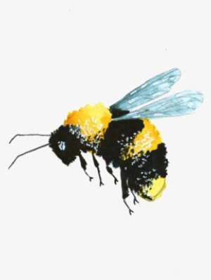 Bees Transparent Watercolor Png Freeuse Library - Watercolor Bees Transparent Background
