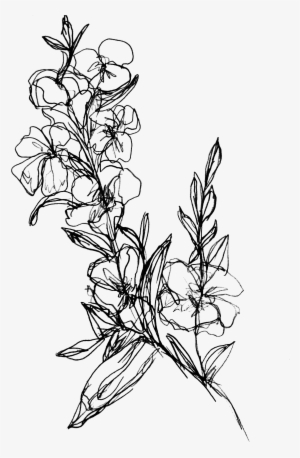 Flower Branch Submitted By Walmartteacups To /r/ - Drawing Of Flower Branch