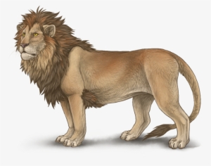 Lioden - Lion Drawing In Color