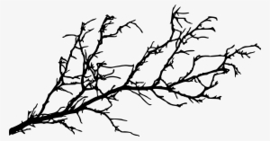 Free Download - Tree Branch