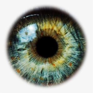 Eyes Png - Green Eyes Png