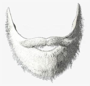 Beard PNG, Beard Transparent Background - FreeIconsPNG