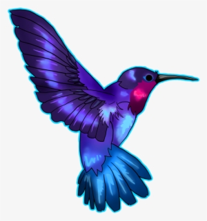 Hummingbird Tattoos Png Transparent Images - Hummingbird Tattoo