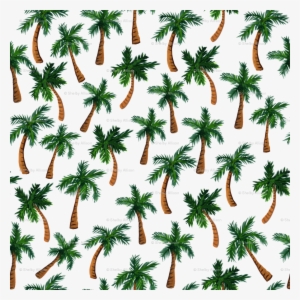 Palm Tree Pattern Transparent