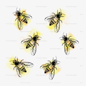 Watercolor Bees Png