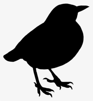 Silhouette Black Of Small Standing Bird - Poetry Silhouette
