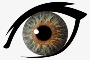 Eye Png - Eye Png Transparent Background