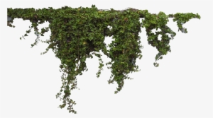 Download - Plants Photoshop