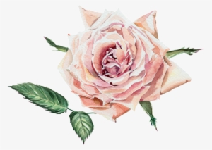 This Graphics Is Fragrant Transparent Watercolor Flowers