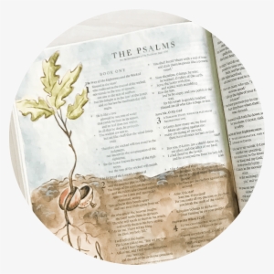 Create Beautiful Watercolor Art In Your Bible With - Bible