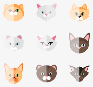 Cat Collection - Cat