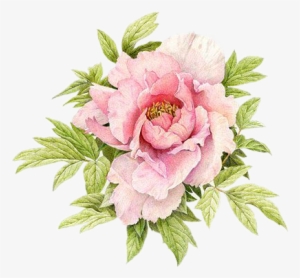 Replace Ugly Scar With Beauty - Pretty Floweres