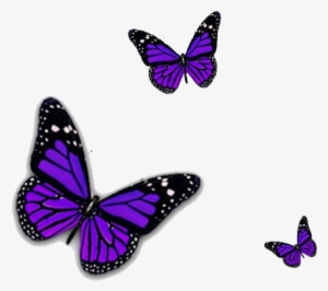 Purple Butterfly Png Transparent Image - Purple Butterfly Transparent Background