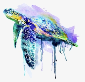 Bleed Area May Not Be Visible - Watercolor Turtle